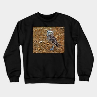 Clint The Burrowing Owl Crewneck Sweatshirt